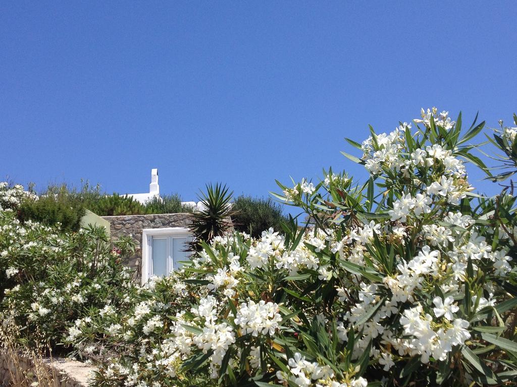 Mykonos Love Nest Ano Mera Chambre photo